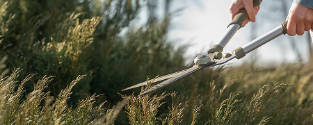 Уход за садом